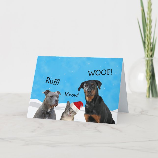 What Did You Expect Christmas Card (Front)