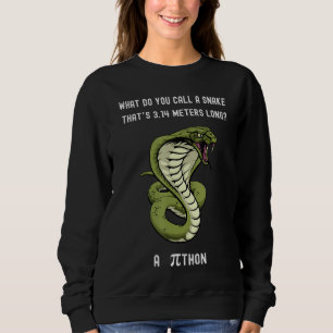 What Do You Call A Snake Thatu2019s 3 14 Metres Lo Sweatshirt