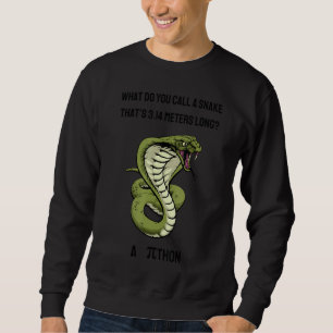 What Do You Call A Snake Thatu2019s 3 14 Metres Lo Sweatshirt