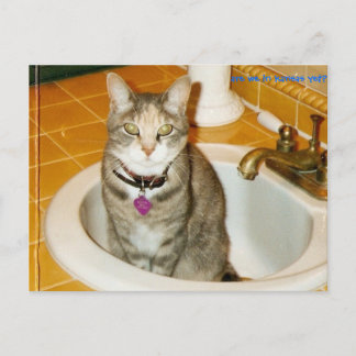 what do you think i want? postcard