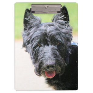 What do you think of my new do clipboard