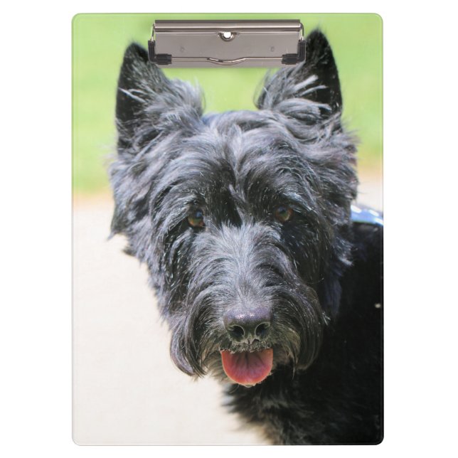 What do you think of my new do clipboard (Front)