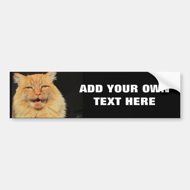 What does the Cat Say? Bumper Sticker (Front)