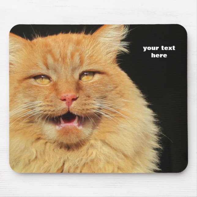 What does the Cat Say? You Decide Mouse Pad (Front)