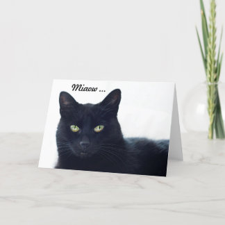 What does this cat tell us on a birthday? card
