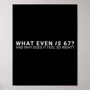 What Even Is 67 Meme Poster