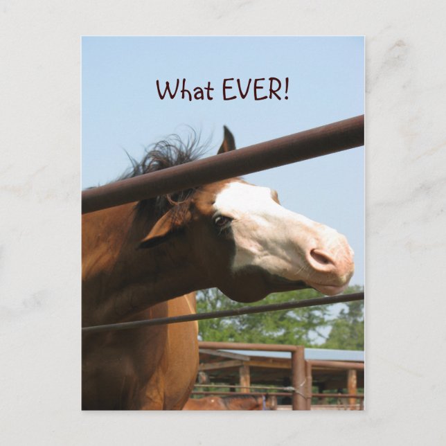 What EVER! Postcard (Front)