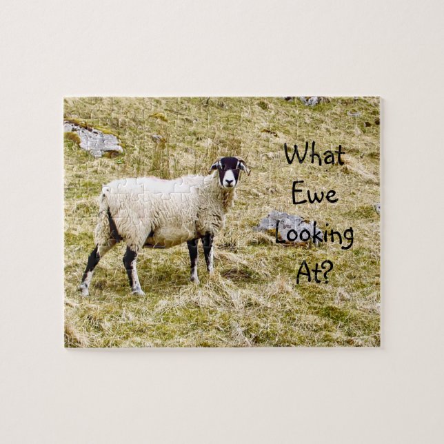 What Ewe Looking At? Jigsaw Puzzle (Horizontal)