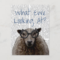 What Ewe Looking At