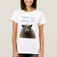 What Ewe Looking At