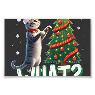 What Funny Cat Pushing Christmas Tree Over Cat Xma Photo Print