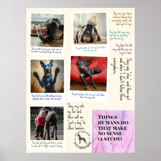 What Great Danes think about humas Poster