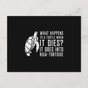 What Happens To A Turtle Lover Turtles Funny Gift Postcard