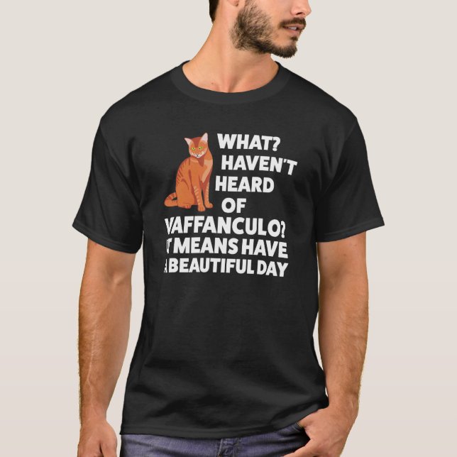 what haven't heard vaffanculo Italian Italy vaffan T-Shirt (Front)