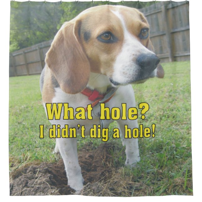 What hole? I didn't dig a hole! Beagle Shower Curtain (Front)