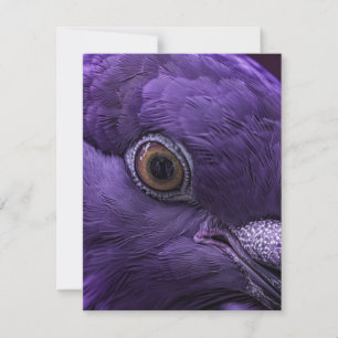 What If Heaven Was Purple Dove Art Card