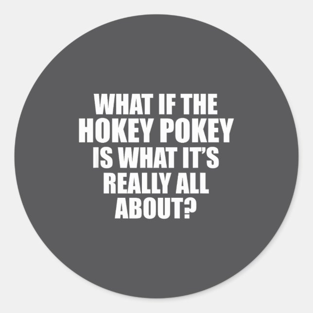 What If The Hokey Key , Funny Quote Tee Gift  Classic Round Sticker (Front)