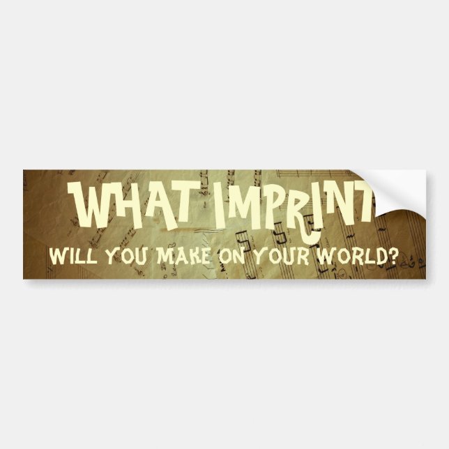 What Imprint Will You Make Bumper Sticker (Front)