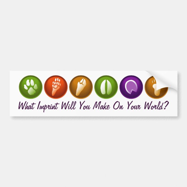 What Imprint Will You Make Bumper Sticker (Front)