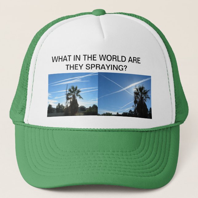 WHAT IN THE WORLD HAT (Front)