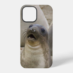 WHAT??? iPhone 12 PRO CASE