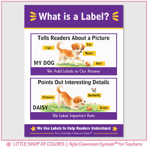 What is a Label Classroom Anchor Chart