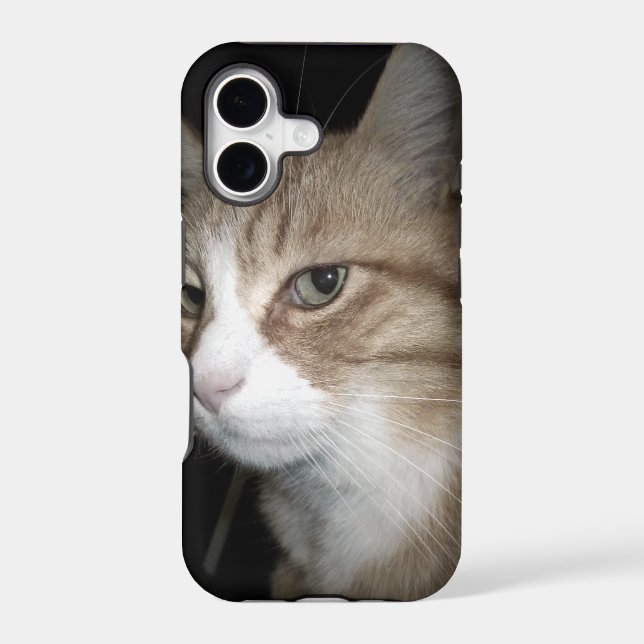 What is he thinking? (Back)