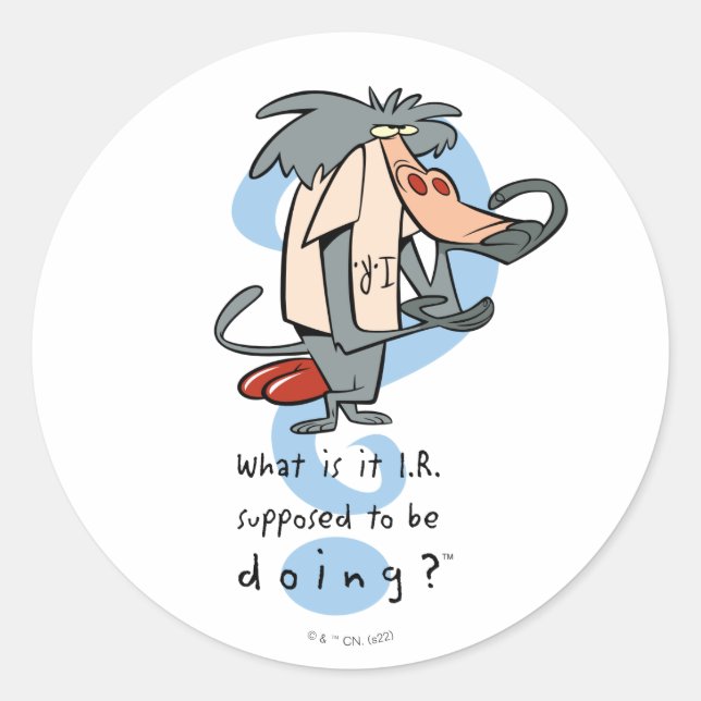 What is it I.R. Supposed To Be Doing?™ Classic Round Sticker (Front)