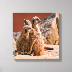 What Is That Meerkats Canvas Print