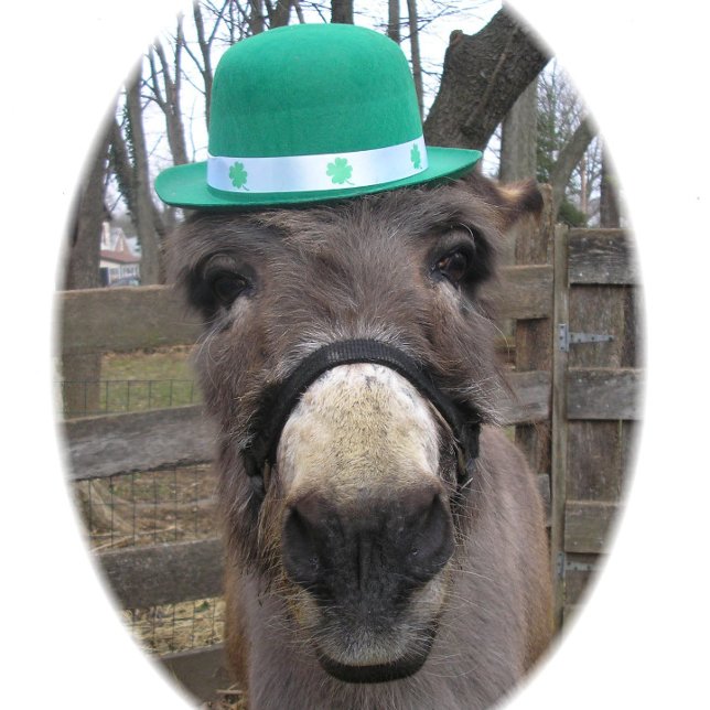 "What is the Big Deal?" Wrapping Paper (Creator Uploaded)