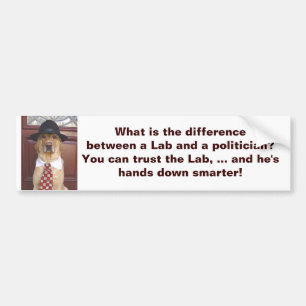 What is the difference between a Lab & a politicia Bumper Sticker