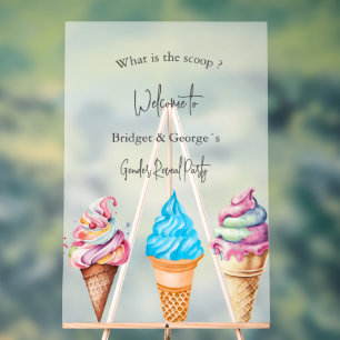 what is the scoop gender reveal party frosted acrylic sign