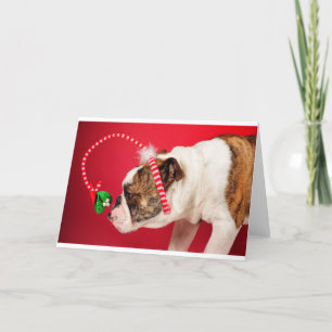 What is this? holiday card