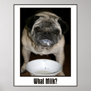 What Milk? Poster