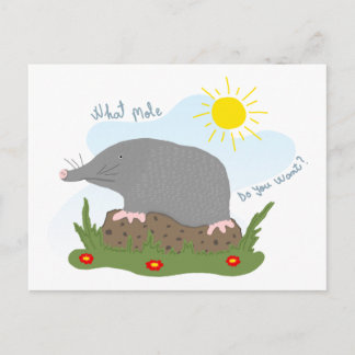 What mole do you want? postcard