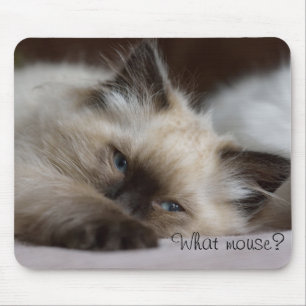What mouse, mouse pad