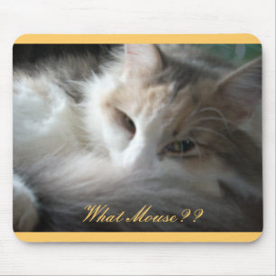 What Mouse?? Mouse Pad