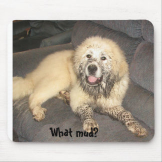 What Mud? Mouse Pad