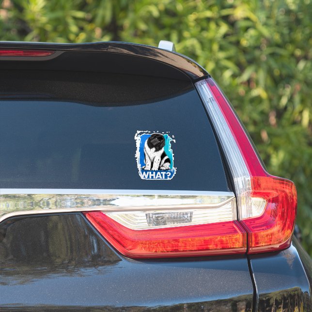 What Newf  (Car Side)
