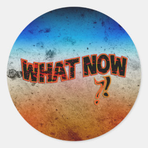 What Now ?! Classic Round Sticker