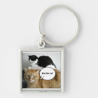 What Other Cat?/Orange Tabby Humour Key Ring