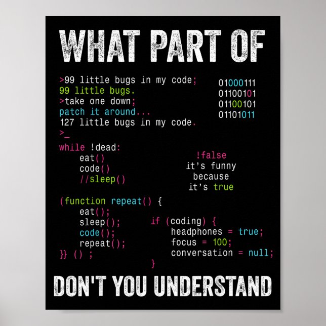 What Part Of Don't You Understand Computer Science Poster (Front)