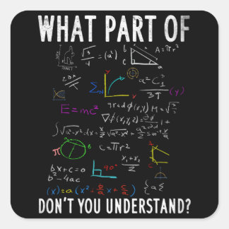 What part of math don't you understand square sticker