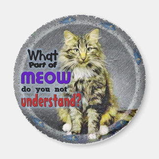 What Part of Meow Magnet