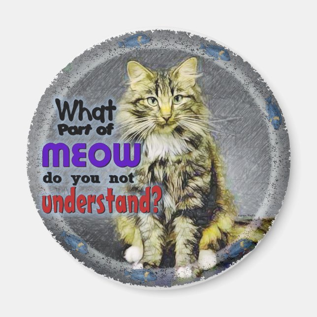 What Part of Meow Magnet (Front)
