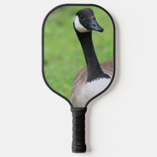 What? Pickleball Paddle