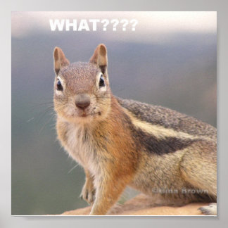 What???? Poster