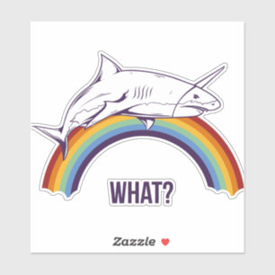 What rainbow shark