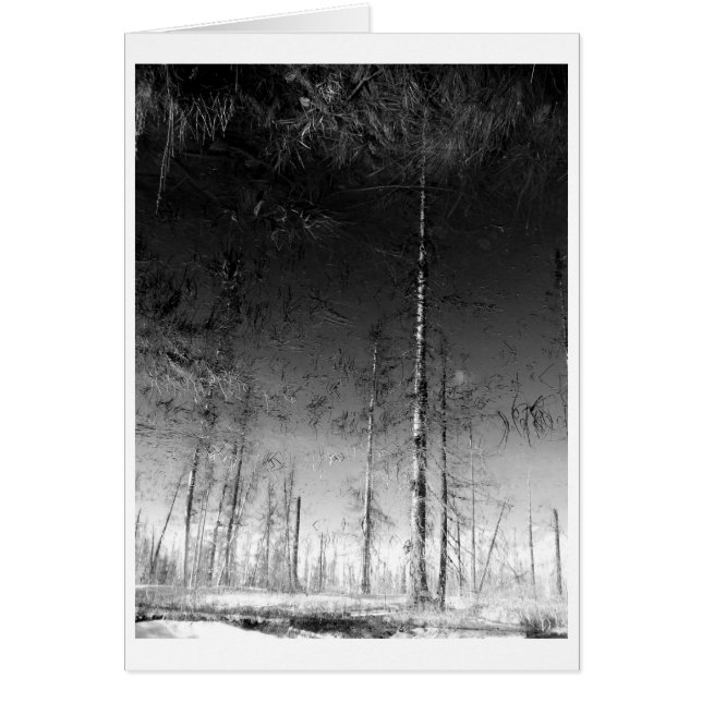 What Remains (Front)