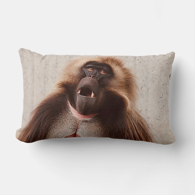 What’s going on lumbar cushion (Front)